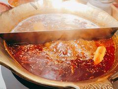 -九鼎轩脆毛肚火锅(三钢里店)