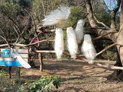 -宁波野生动物园