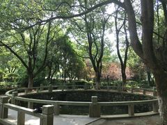 -白马涧龙池景区