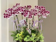 -F.Story 花和故事(新天地店)