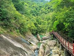 -广州白江湖森林公园