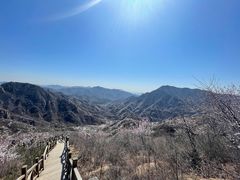 -大岭沟猕猴桃谷风景区