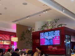 -老板恋上鱼(恒隆广场店)