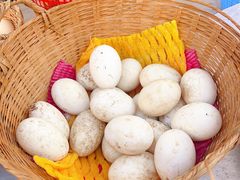 -太湖面馆十八浇(渔港路店)