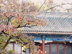 -北京石刻艺术博物馆(五塔寺)