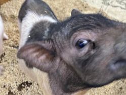 -未来动物城主题公园(正弘城店)