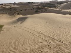 -银肯塔拉沙漠生态旅游景区