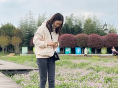 -武汉紫薇都市田园