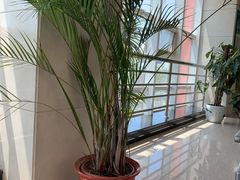 -首都医科大学附属北京同仁医院(南区)