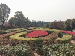 -铁山坪森林公园