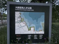 -坝光海滩
