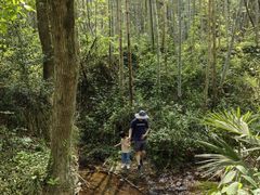 -小格里自然风景区