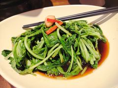 白灼有机时蔬-瑶王府·广西菜(金阳路店)