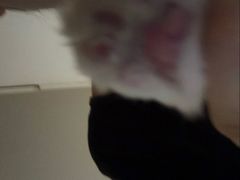 -PETKIT 小佩宠物·低压洗护·美容·寄养(安远店)
