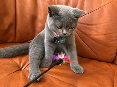 -厦门燕子坞客栈