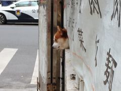 -小梁哥云吞面(黄贝岭店)