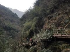 -山沟沟景区