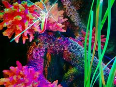 -沈阳海洋探索中心