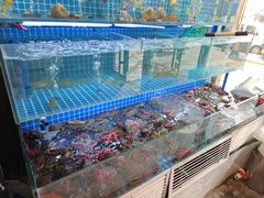 -李记潮汕砂锅粥(营福路店)