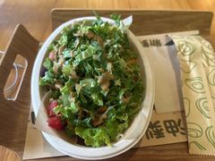 -油梨树AVOCADO TREE(望京店)