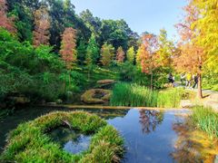 -云溪植物园