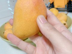 -鲜力达果品批发直销(青山店)