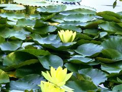 -国家植物园南园