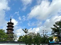 -龙华素斋(龙华路店)