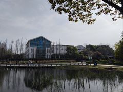 -金银湖国家城市湿地公园