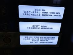 -影汇之星8字形摩天轮