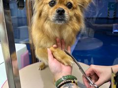 -FAELING PETS美天灵宠物(富力广场店)