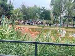 -武汉动物园