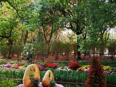 -上海共青森林公园