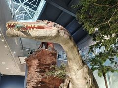 -湖南省地质博物馆