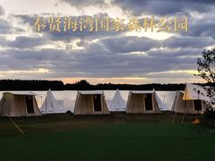 -上海海湾国家森林公园
