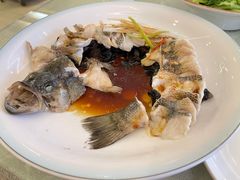 -博雅渔港·融合菜(维也纳国际大酒店)