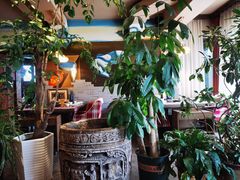 -慢丽江·云南野生菌土鸡锅(付家庄店)