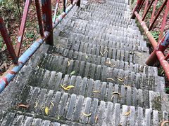 -大雁山风景区