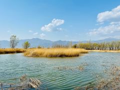 -野鸭湖国家湿地公园