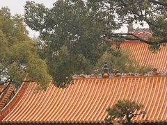 -南岳大庙