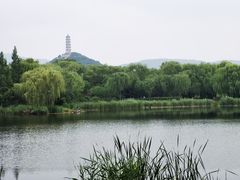 -北坞公园