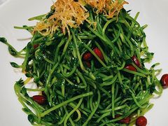 -青花椒花椒鱼(合生汇店)