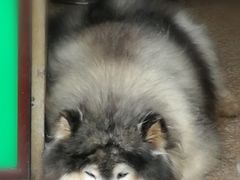 -蒋氏故居