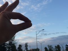 -兔行天下-鸿鹤鲜锅兔(中海国际店)