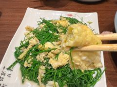 -靖远尕六美味羊羔肉
