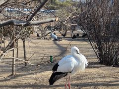 -森林公园(尖草坪区)