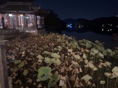 -湘湖大院(越王路店)
