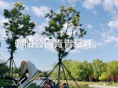 -朝阳公园