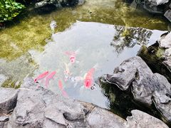 -道南書院·私房菜·早午茶·茶馆