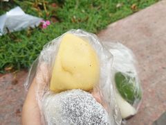-沈大成(南京东路店)